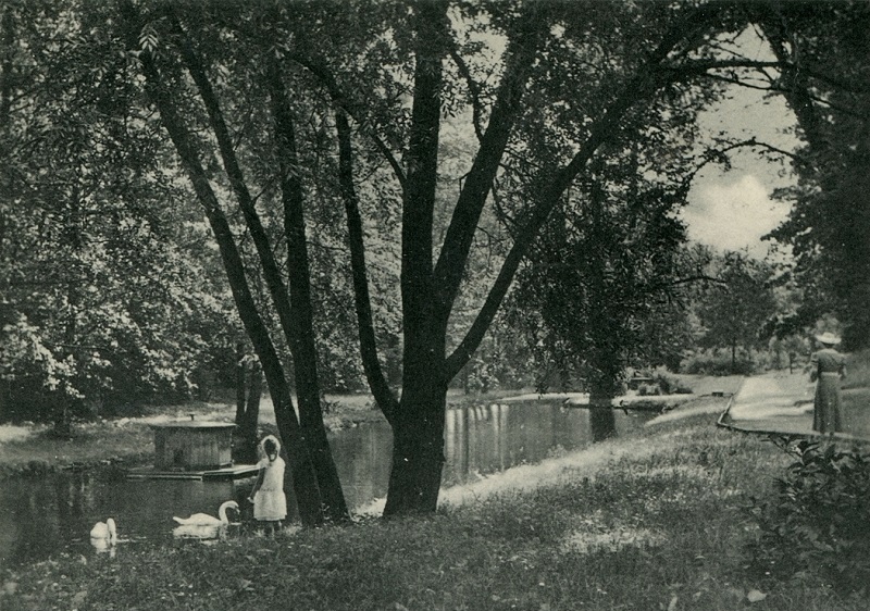 Schwanenteich im Stadtpark