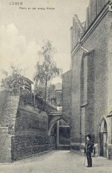 Die Birke auf der Stadtmauer Lüben