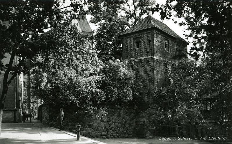 Efeuturm Lüben