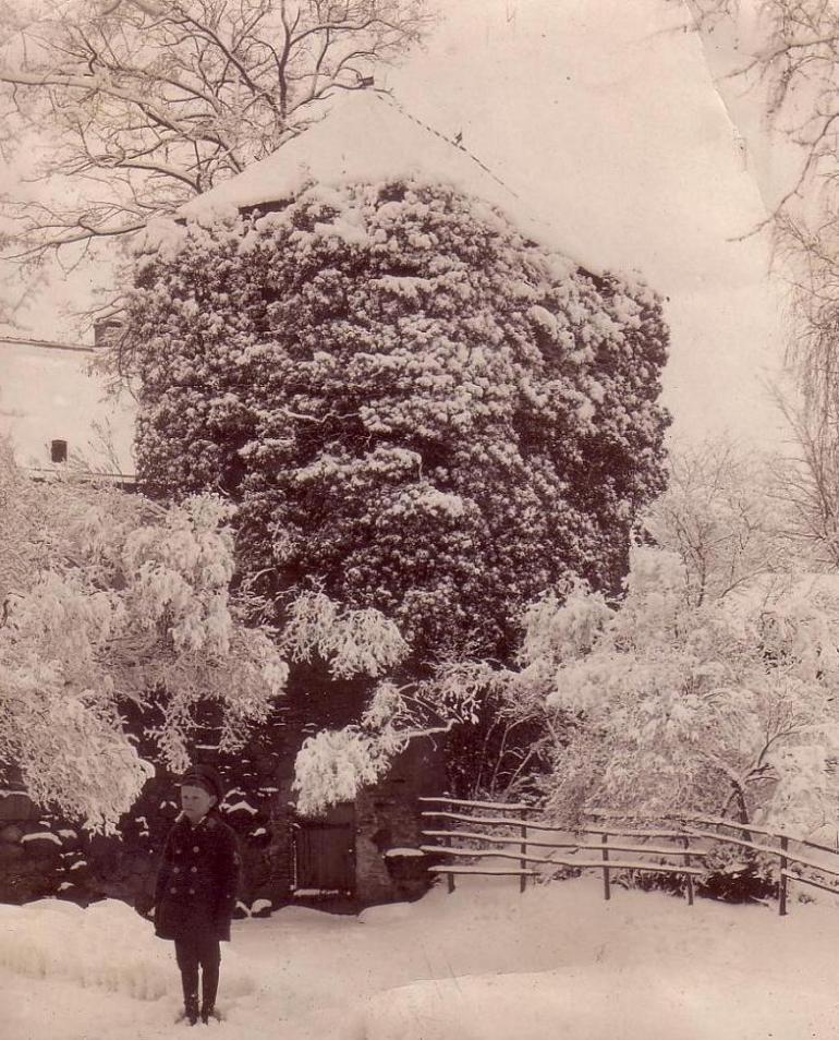 Fritz Peschel vor dem winterlichen Efeuturm