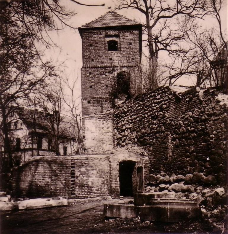 Efeuturm Lüben