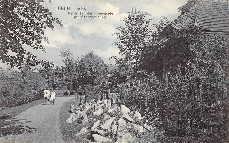 Neuer Teil der Promenade mit Gebirgspflanzen, um 1915