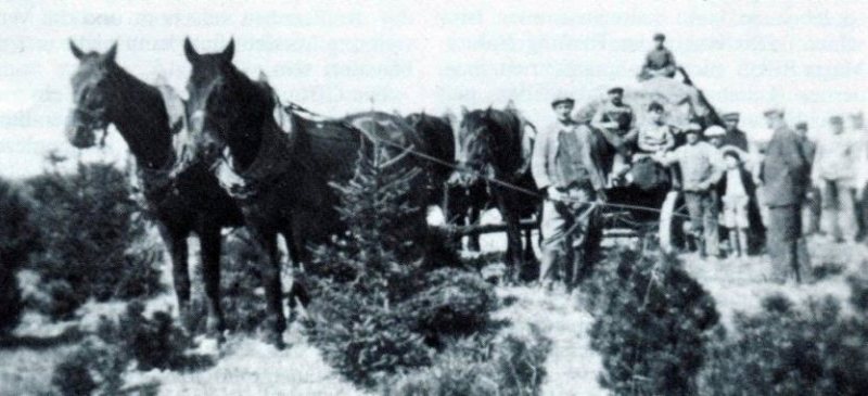 Transport des Steins zum geplanten Heldenhain Lüben