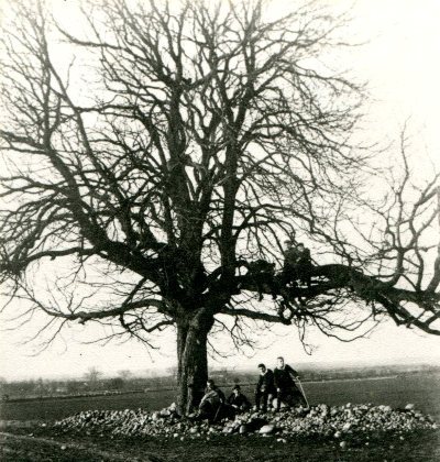 Lübener Wandervögel mit Lehrer Zingel 1917