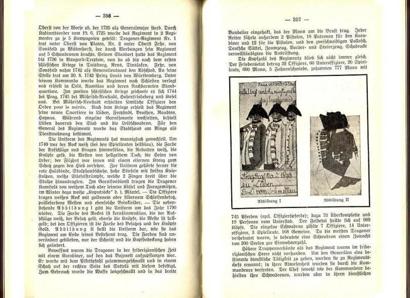 Konrad Klose, Geschichte der Stadt Lüben, Verlag Kühn Lüben, 1924, S. 356/357