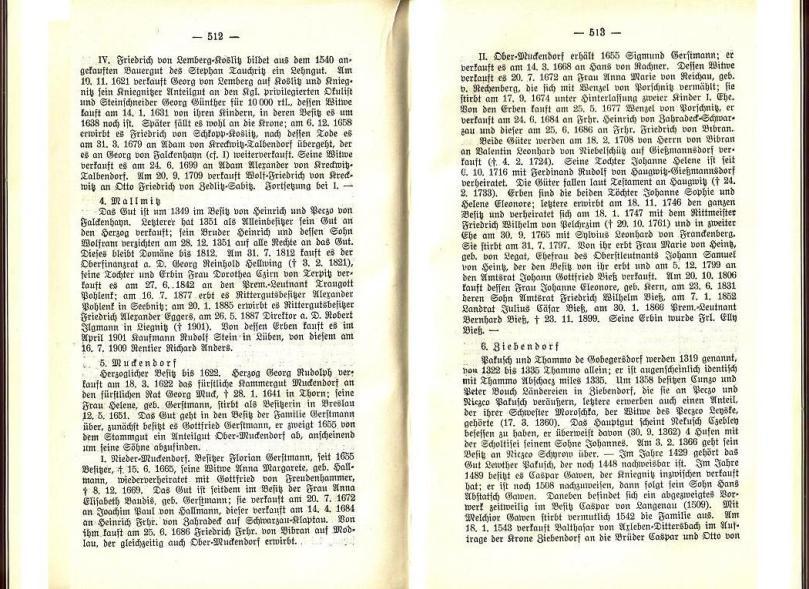 Konrad Klose, Geschichte der Stadt Lüben, Verlag Kühn Lüben, 1924, S. 512/513