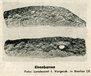 Frühgeschichtlicher Eisenbarrenfund