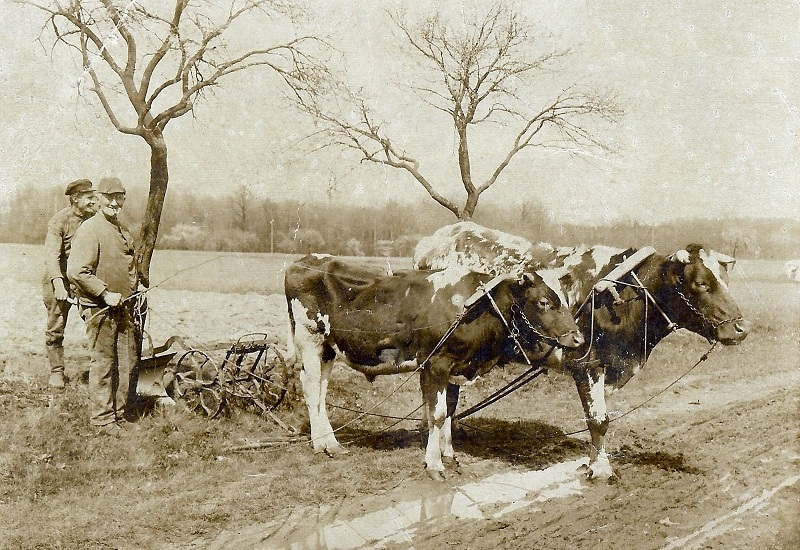 Karl Pfitzner und Sohn, Barschau