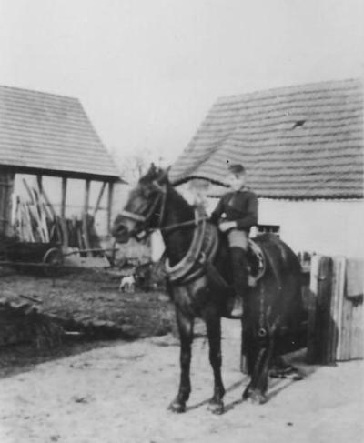 Ernst Gehlich 1943 auf dem Weg zum Heuwender