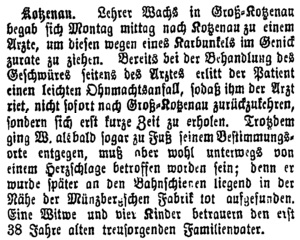 Lähner Anzeiger vom 20.6.1908