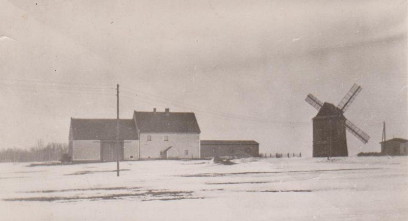 Max Müllers Windmühle in Herzogswaldau