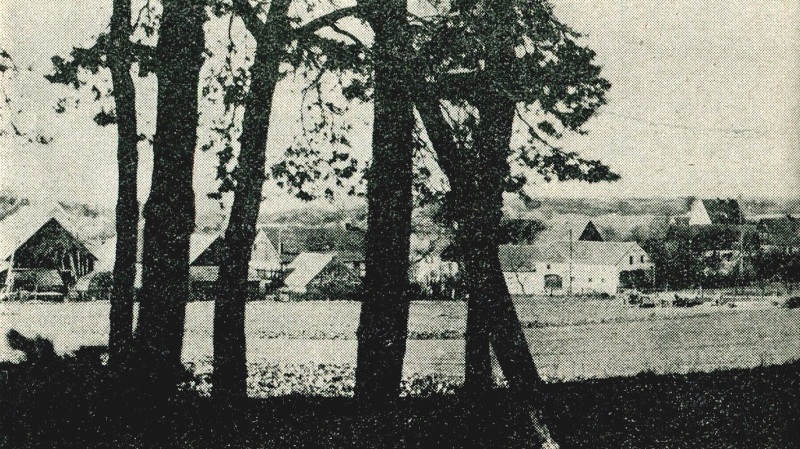 Das Heidedorf Kaltwasser, Blick nach Nordwesten