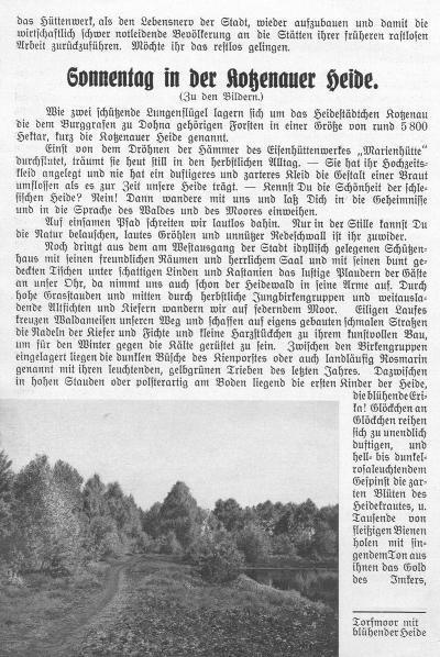 Beilage zum Kotzenauer Stadtblatt vom 24.8.1935, Seite 4