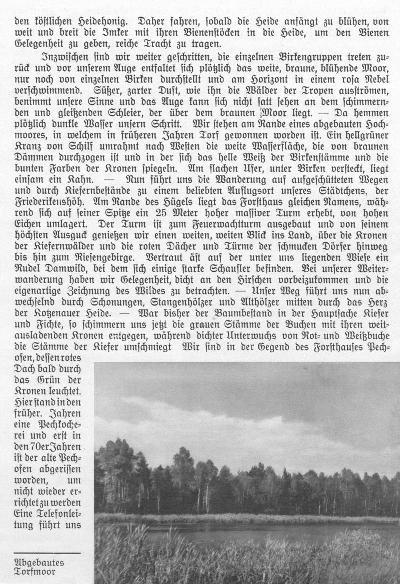 Beilage zum Kotzenauer Stadtblatt vom 24.8.1935, Seite 5