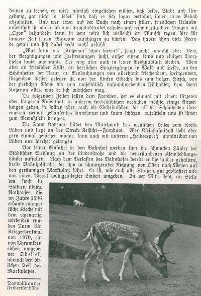 Beilage zum Kotzenauer Stadtblatt vom 24.8.1935, Seite 7