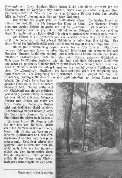 Beilage zum Kotzenauer Stadtblatt vom 24.8.1935, Seite 11
