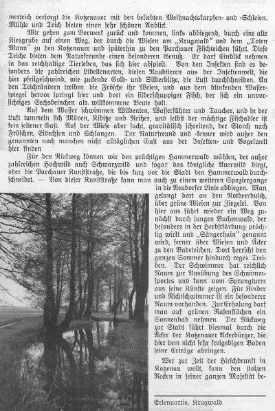 Beilage zum Kotzenauer Stadtblatt vom 24.8.1935, Seite 12