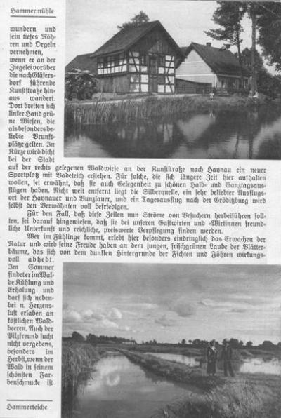 Beilage zum Kotzenauer Stadtblatt vom 24.8.1935, Seite 13