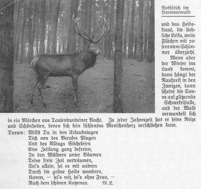 Beilage zum Kotzenauer Stadtblatt vom 24.8.1935, Seite 14