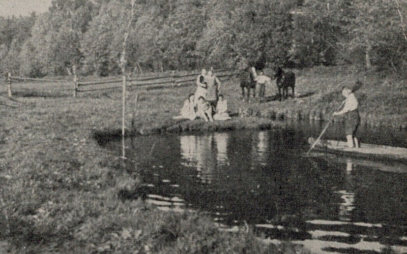 Blick vom Schloßmühlenhof zur Waldwiesenkoppel und Teich