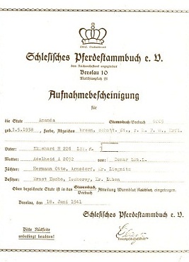 Stute Amanda in das Schlesische Pferdestammbuch 1937