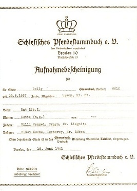 Stute Dolly in das Schlesische Pferdestammbuch 1937