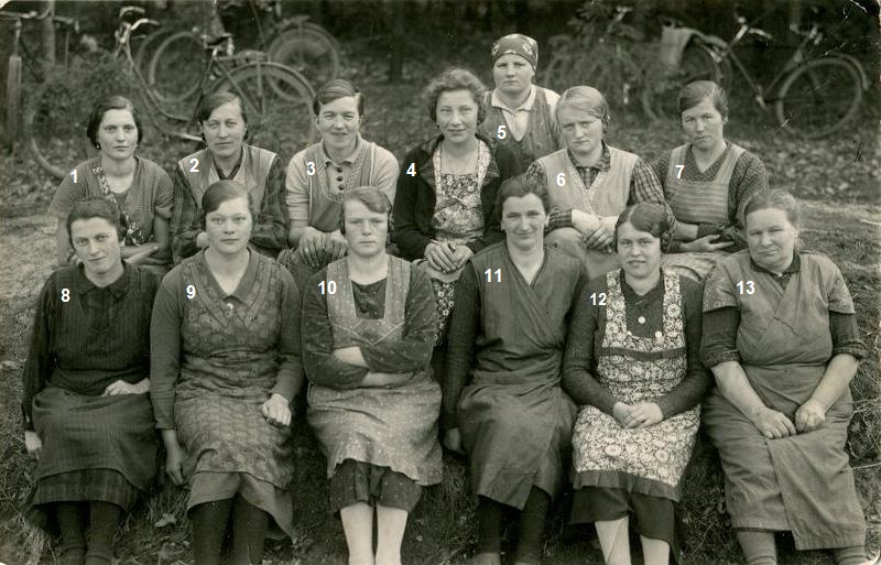 Frauen bei der Wiederaufforstung