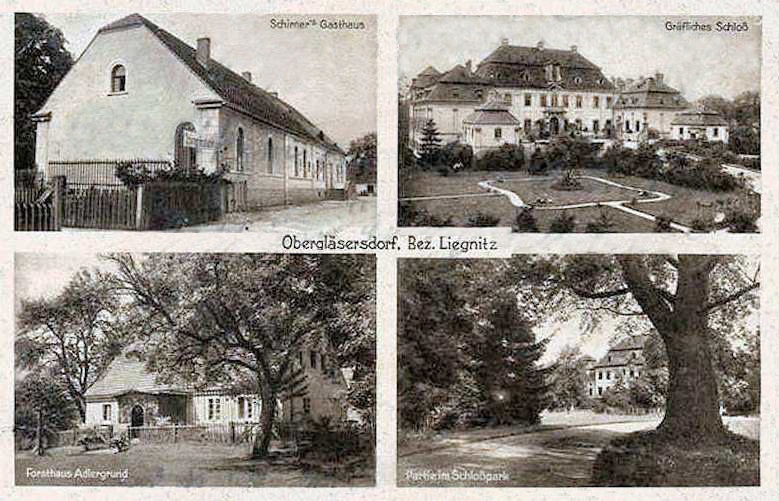 Schirners Gasthaus, Gräfliches Schloss, Forsthaus Adlergrund, Partie im Schlosspark