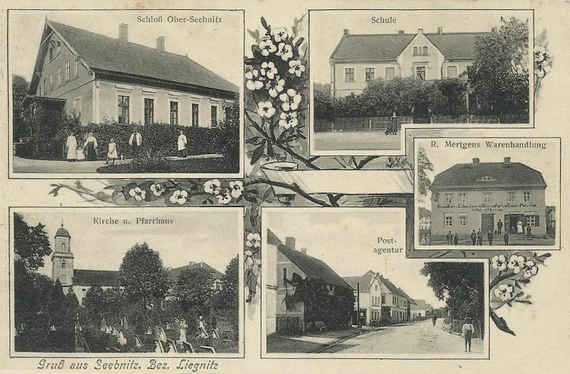 Seebnitz: Schloss Ober-Seebnitz, Schule, Kirche und Pfarrhaus, Postagentur, Robert Mertgens Warenhandlung